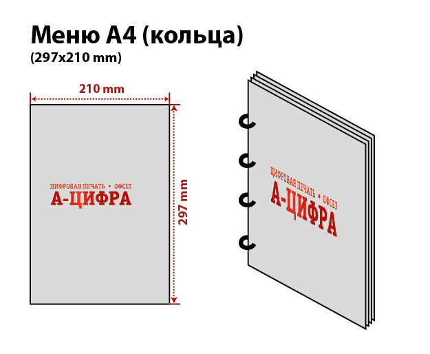 меню для кафе на кольцах